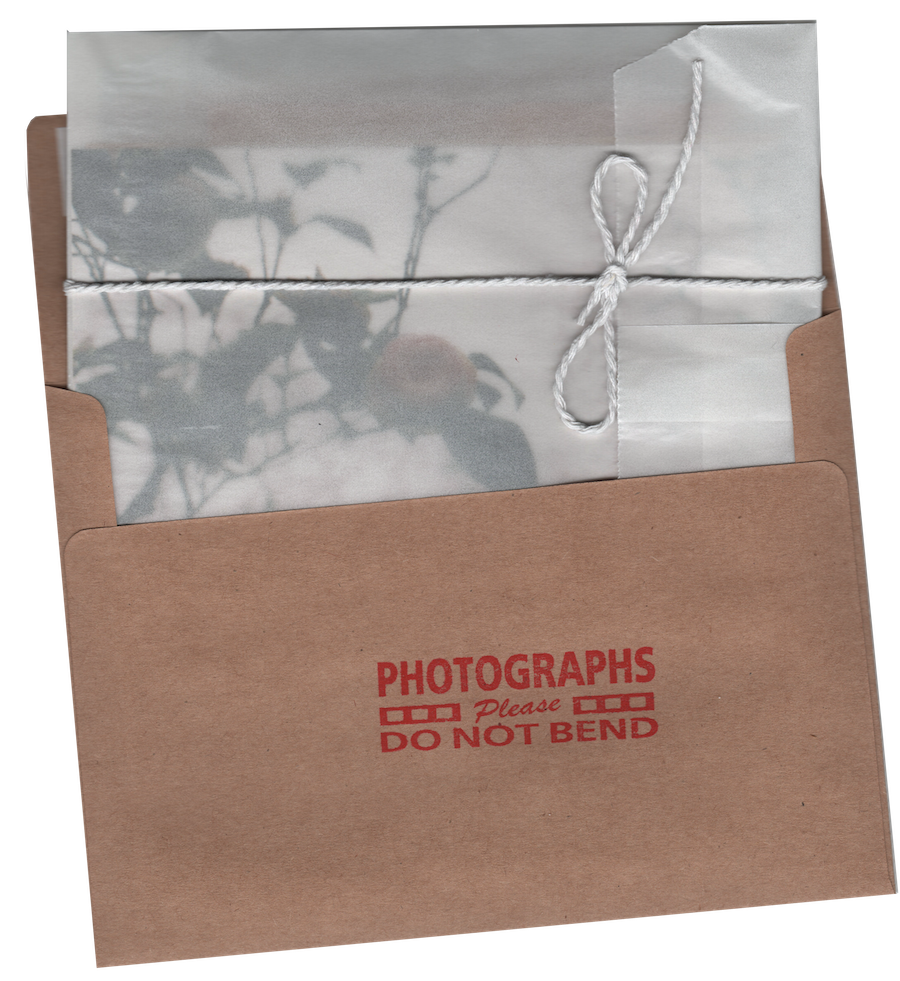 Vivarium mail club preview